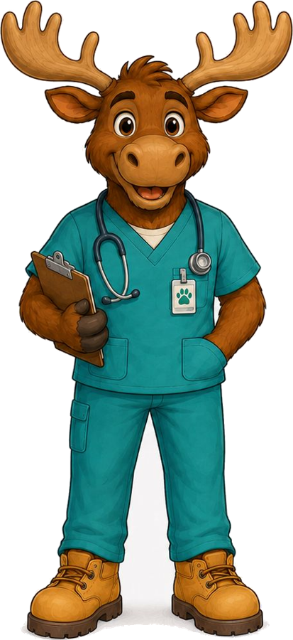 Doctor Moose, the Zoo EOC medical liaison, in teal scrubs with a stethoscope and clipboard